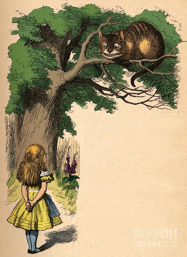 Alice And The Cheshire Cat 1889 #1 Drawing by Print Collector