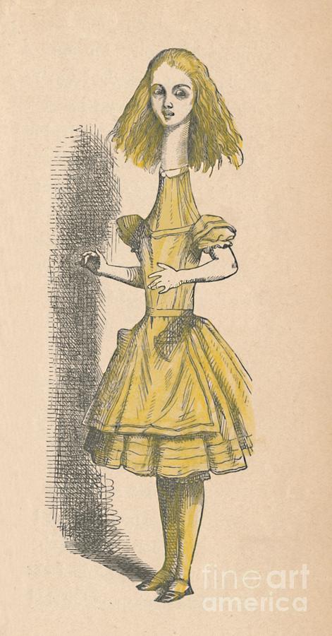 Alice With A Long Neck, 1889 #1 Drawing by Print Collector