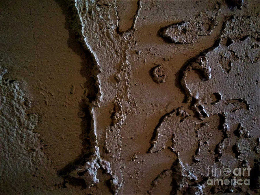 Alien Landscape by Inscape Art Photography Alien Landscape by Inscape Art Photography