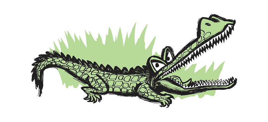 Alligator Drawing - Alligator with Open Mouth #1 by CSA Images