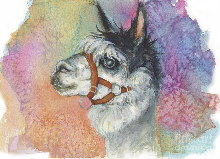 Alpaca  #1 Painting by Peggy Wilson