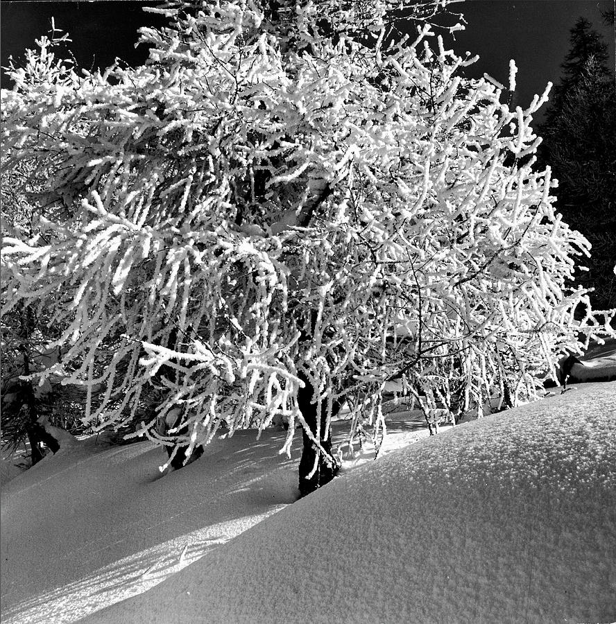 Winter Photograph - Alpine Slopes #4 by Alfred Eisenstaedt