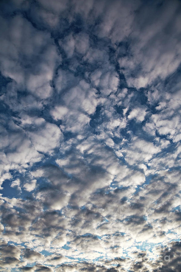 Altocumulus Stratiformis Clouds Photograph By Stephen Burt/science ...