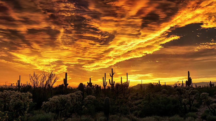 Amazing Arizona  #1 Photograph by Saija Lehtonen