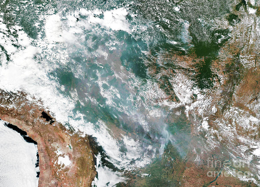 Wildfire Photograph - Amazon Fires From Space #1 by Nasa Eosdis Worldview/lance/gibs/suomi Npp/science Photo Library
