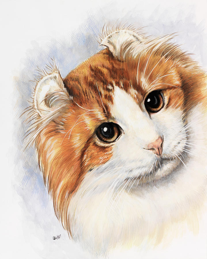 Animal Painting - American Curl #1 by Barbara Keith