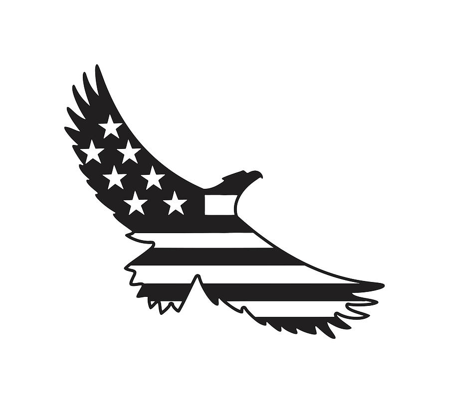 eagle with flag drawings