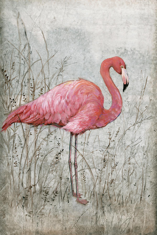 Bird Painting - American Flamingo I #1 by Tim Otoole
