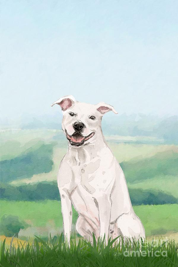 American Staffordshire Terrier #1 Painting by John Edwards