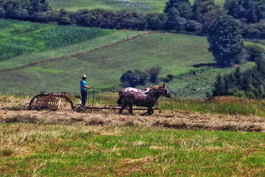Amish farming #1 Photograph by Susan Jensen