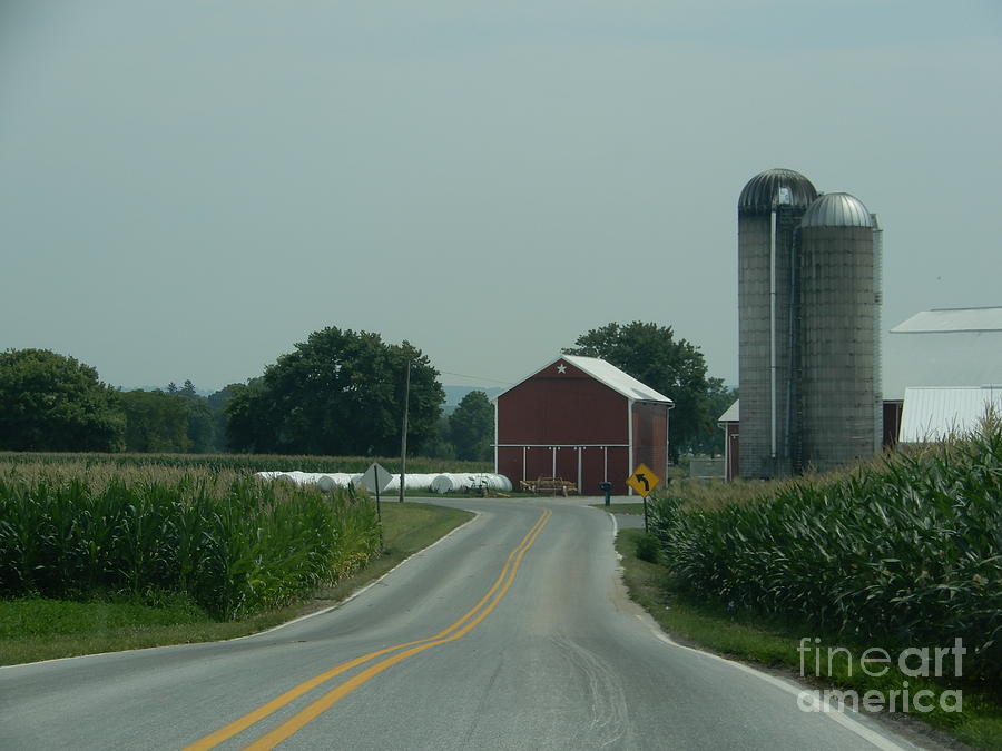 Amish Homestead Ahead #1 Photograph by Christine Clark