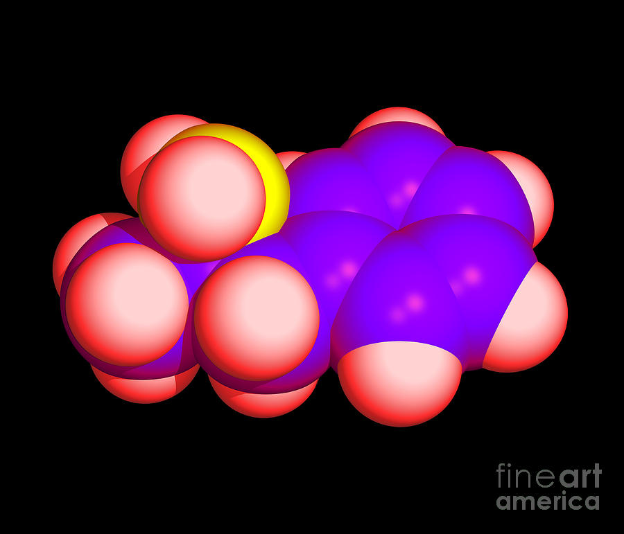 Amphetamine Drug Molecule #1 Photograph by Prof. K.seddon & Dr. T.evans, Queens University Belfast/science Photo Library