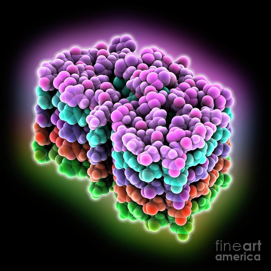 Amyloid-beta Protein Photograph by Laguna Design/science Photo Library ...