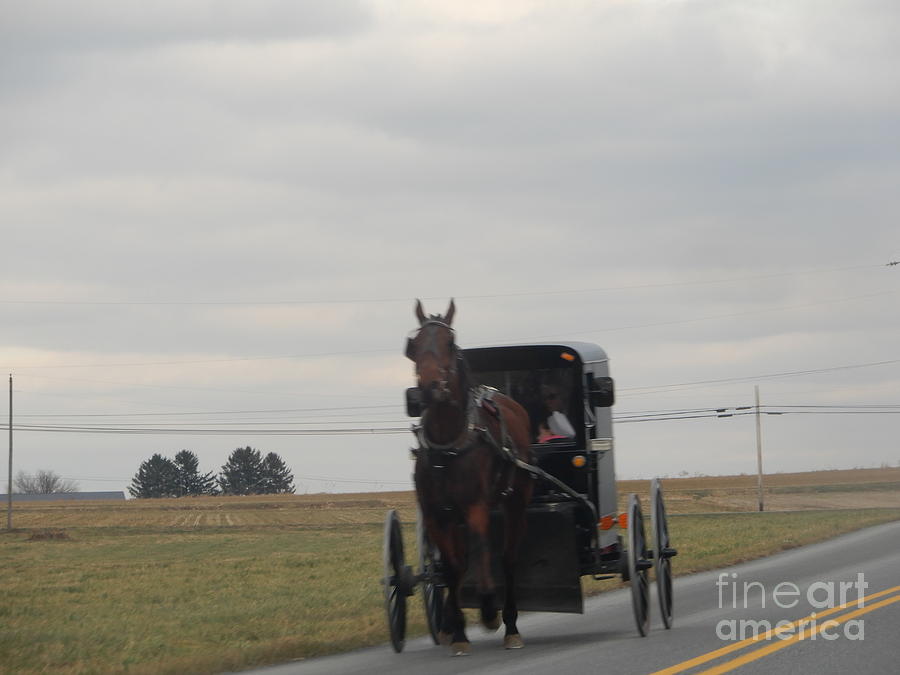 An Amish Family in a Buggy #1 Photograph by Christine Clark