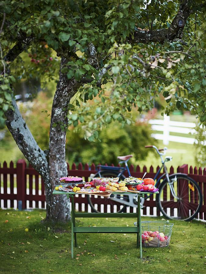 An Autumnal Buffet On A Wooden Table In A Garden #1 Photograph by Hannah Kompanik