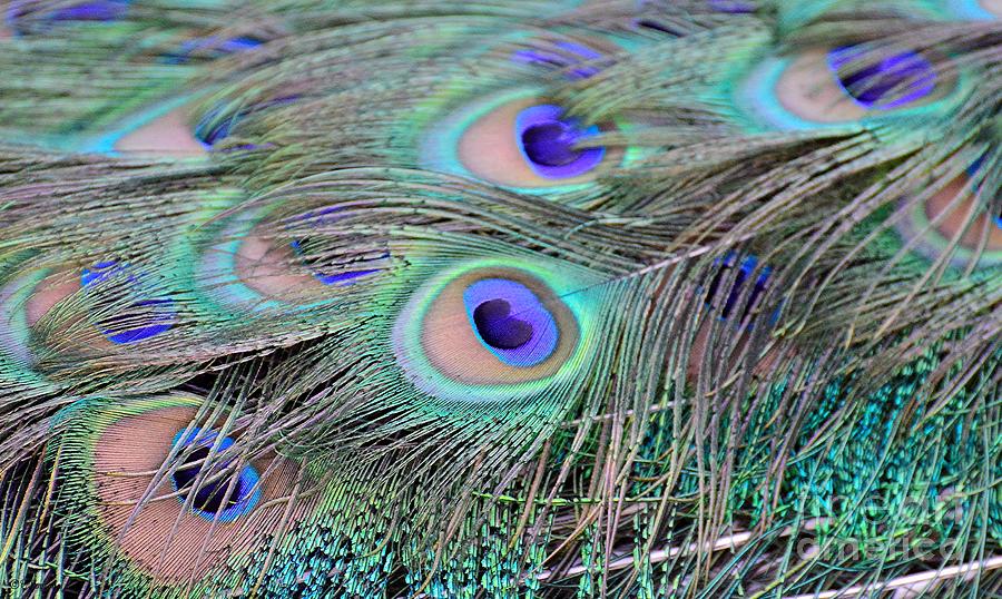 Abstract Photograph - An Eye for an Eye by Debby Pueschel