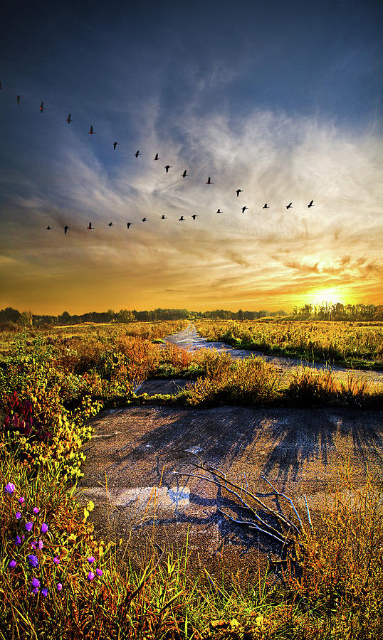 An Old Road #1 Photograph by Phil Koch