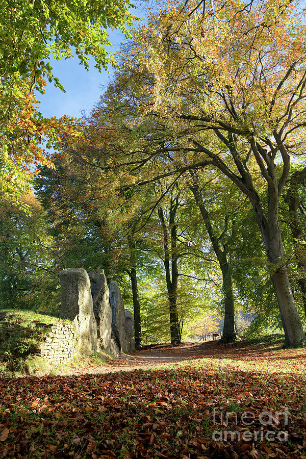 Waylands Smithy Long Barrow in Autumn Photograph by Tim Gainey
