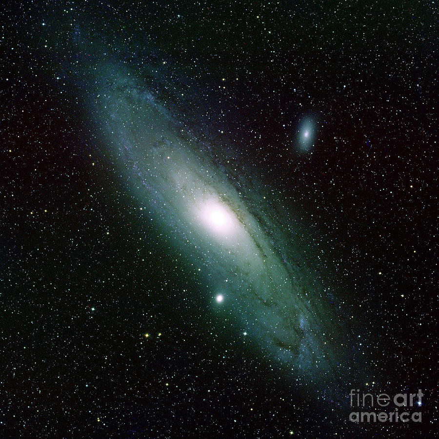 M31 Photograph - Andromeda Galaxy #1 by National Optical Astronomy Observatories/science Photo Library