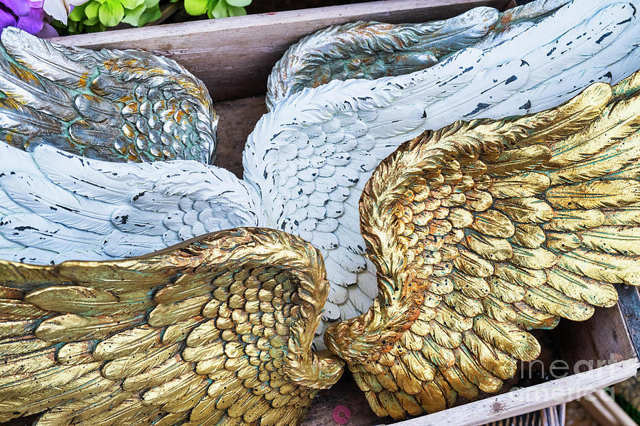 Decorative Angels Wings Photograph by Tim Gainey