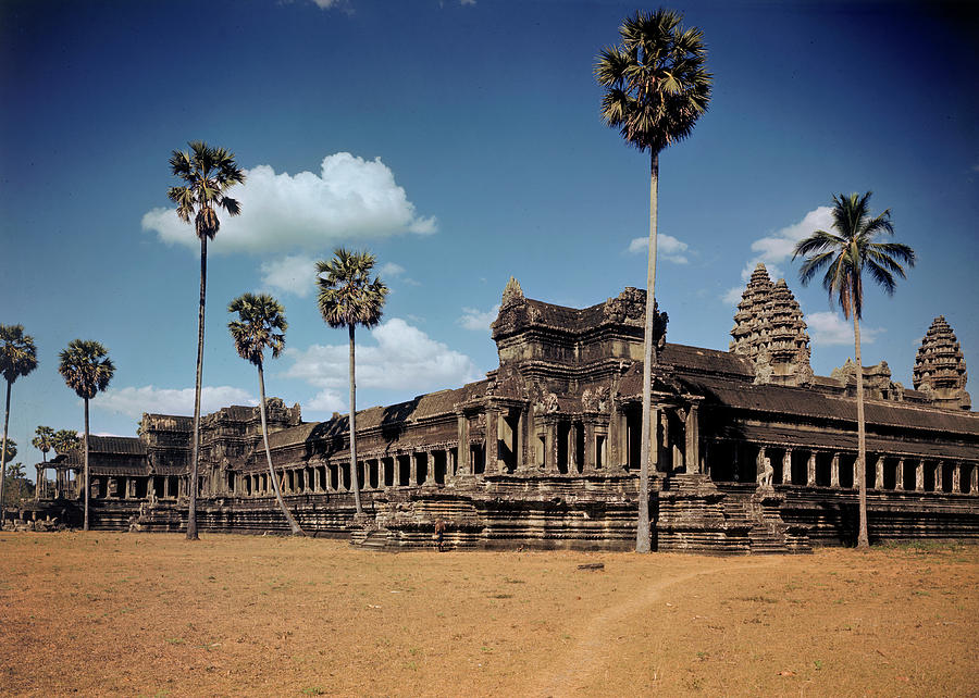 Tree Photograph - Angkor Wat Temple #1 by Eliot Elisofon