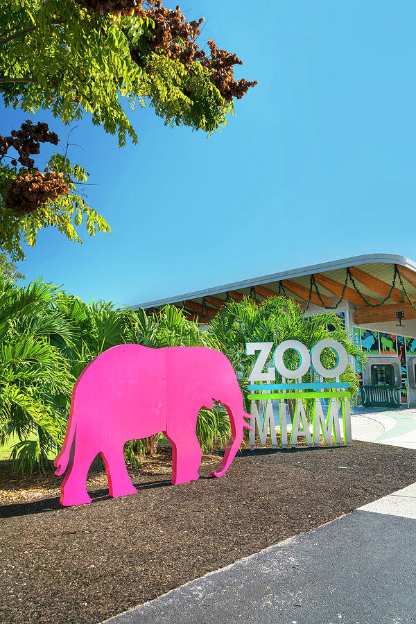 Animal Cutout, Miami Zoo, Fl #1 Digital Art by Laura Zeid