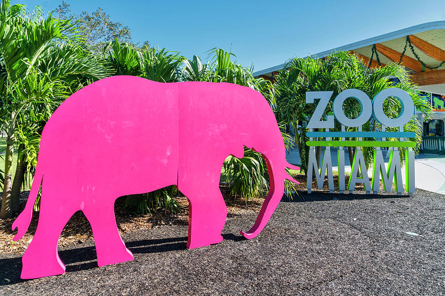 Animal Cutouts, Miami Zoo, Fl #1 Digital Art by Laura Zeid