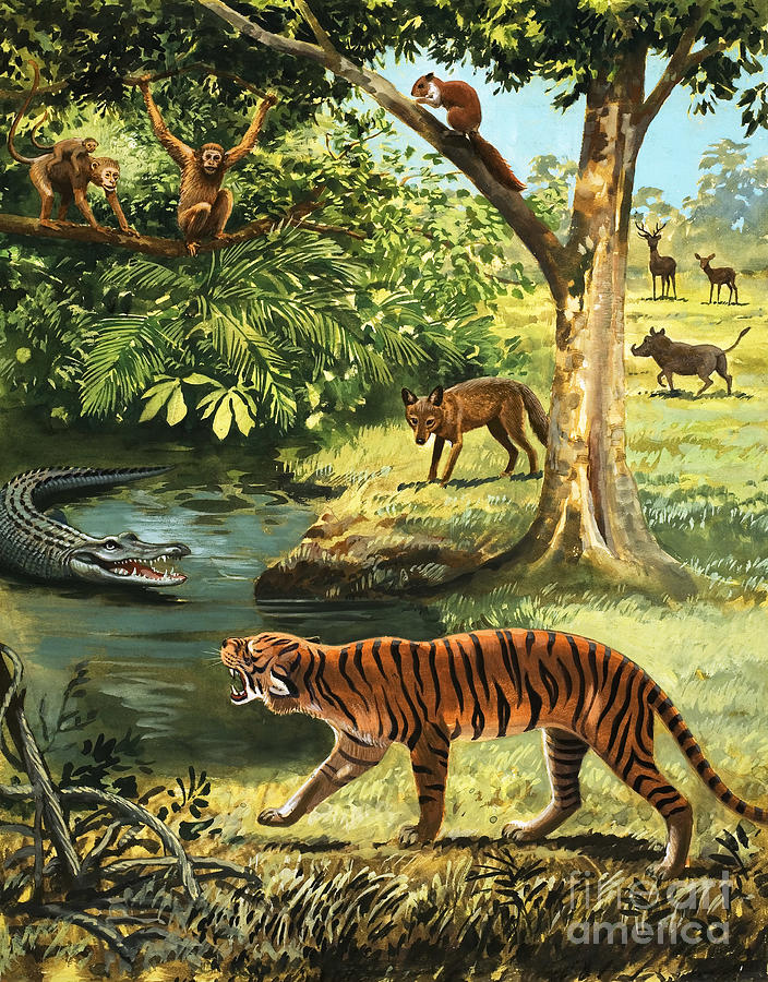 Animals Of India Painting by Arthur Oxenham - Fine Art America