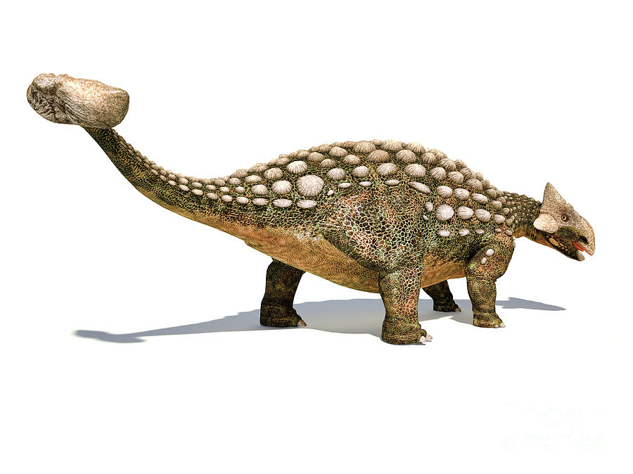 ankylosaurus ikea