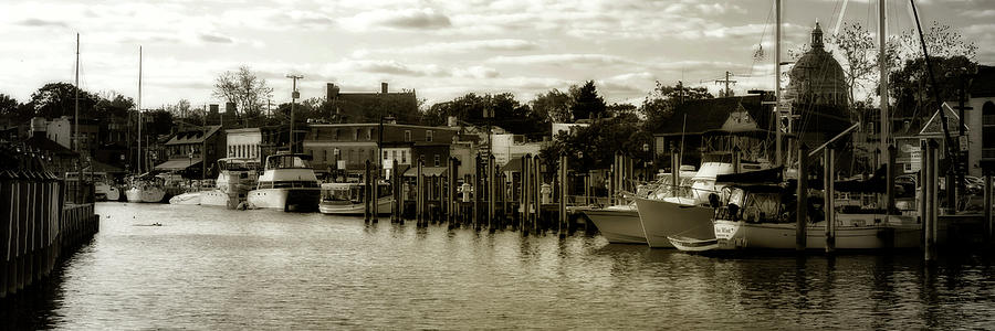 Annapolis Harbor #1 Photograph by Alan Hausenflock