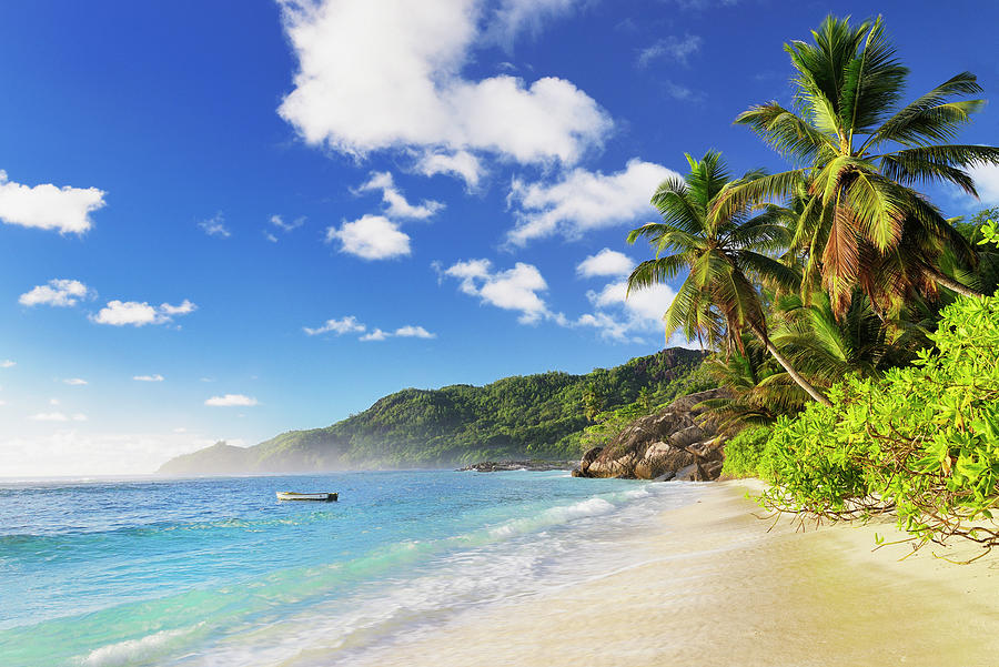 Anse Forbans Beach, Seychelles Digital Art by Cornelia Dorr | Fine Art ...