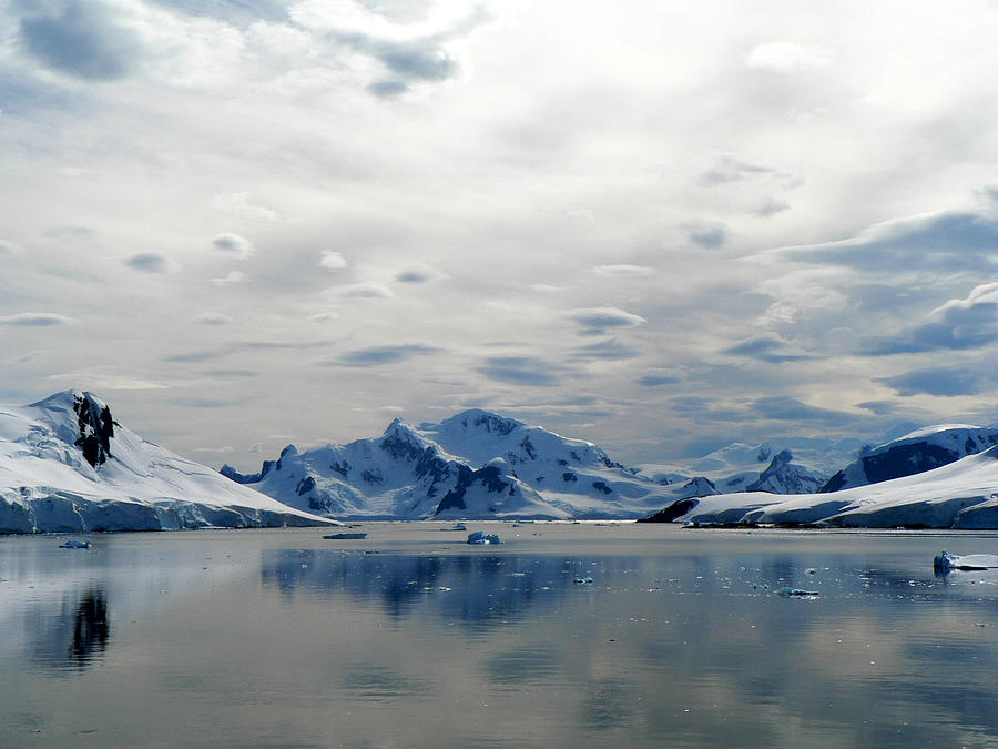 Antarctica Paradise Harbour #1 Photograph by Photo, David Curtis