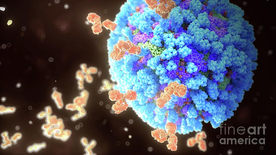Antibodies Binding Influenza Virus #1 Photograph by Nanoclustering/science Photo Library