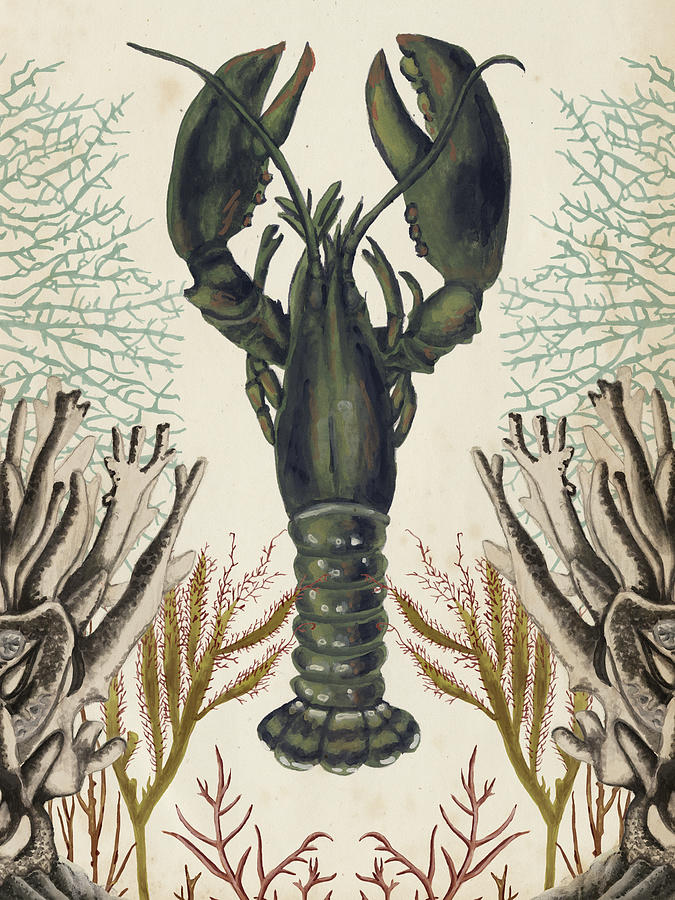 Antiquarian Menagerie - Lobster #1 Painting by Naomi Mccavitt