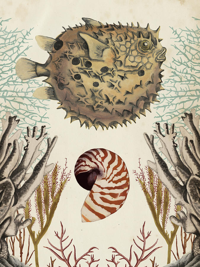 Antiquarian Menagerie - Puffer Fish #1 Painting by Naomi Mccavitt