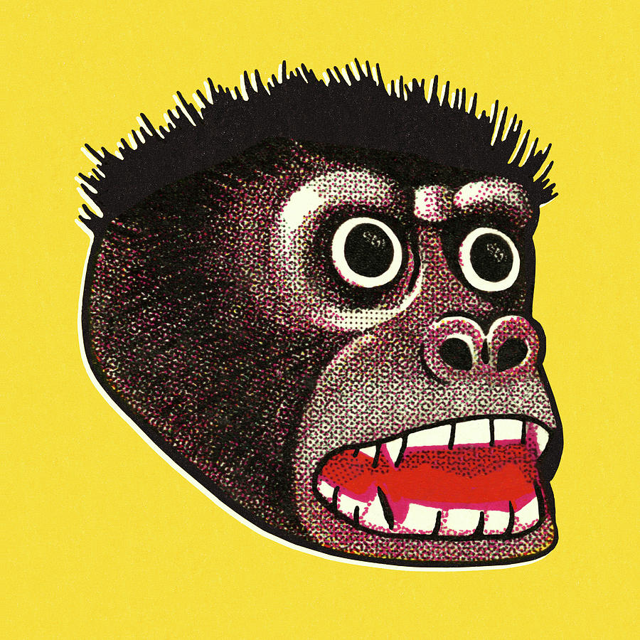 Vintage Drawing - Ape Head #1 by CSA Images