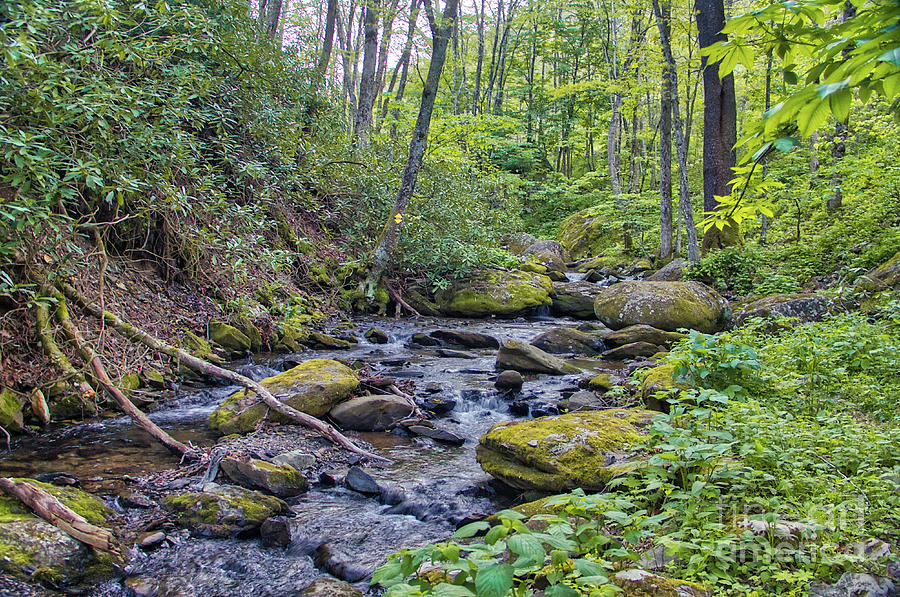 Appalachian Photograph - Appalachian Stream by James Foshee Appalachian Photograph - Appalachian Stream by James Foshee