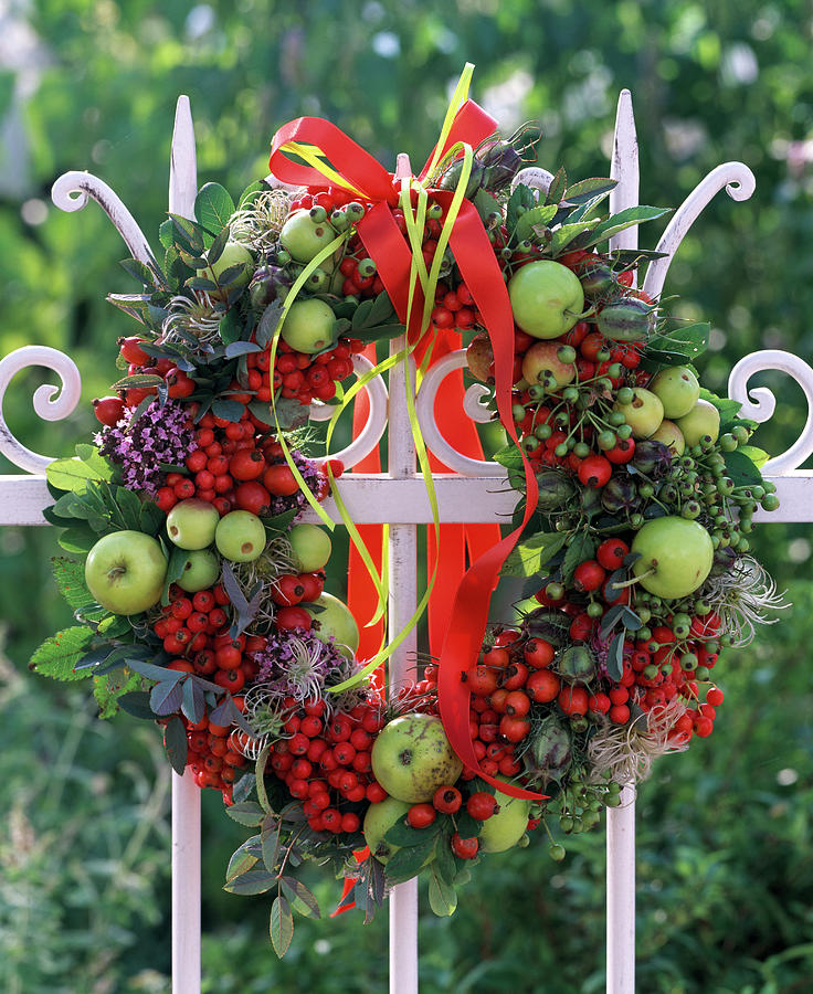 Apple And Berry Wreath #1 Photograph by Friedrich Strauss