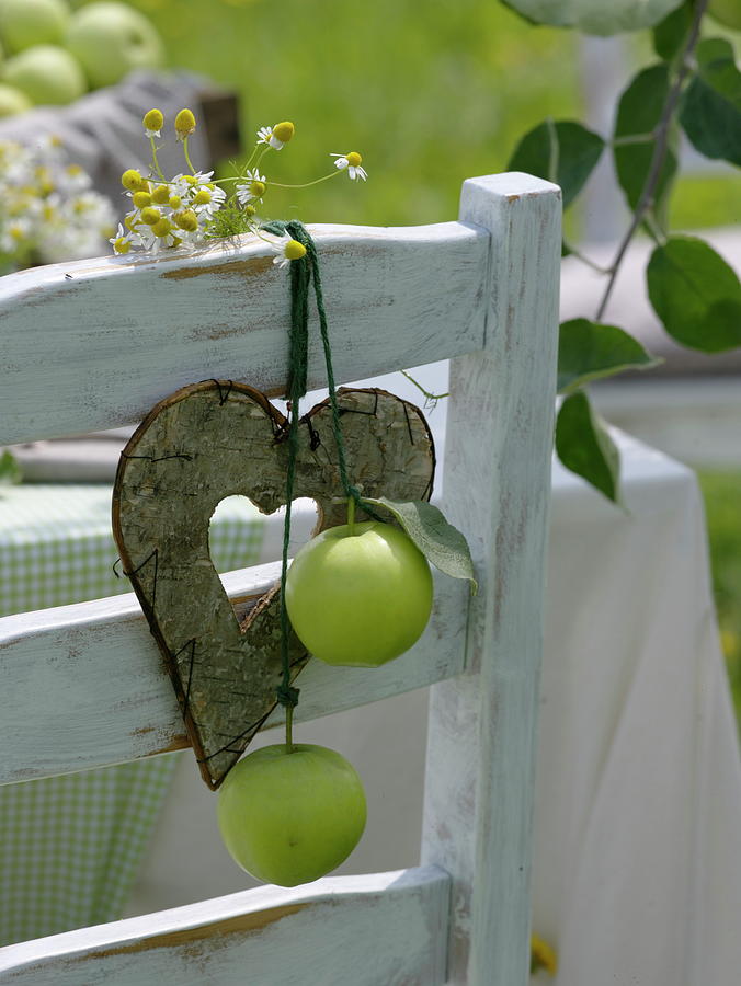 Apple Table Decoration In The Summery Meadow #1 Photograph by Friedrich Strauss