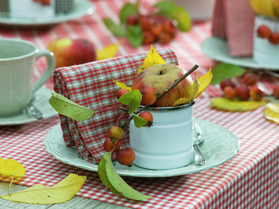 Apple Table Setting #1 Photograph by Friedrich Strauss