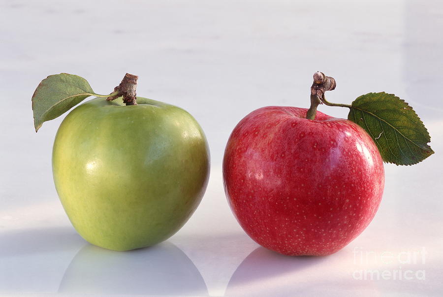 Apples #1 Photograph by Science Photo Library Apples #1 Photograph by Science Photo Library