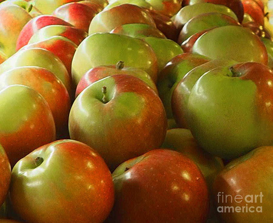 Apples #1 Photograph by Raymond Earley