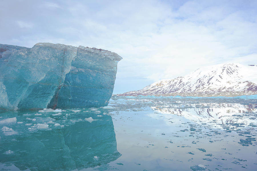 Arctic Blue #1 Photograph by Lauri Novak