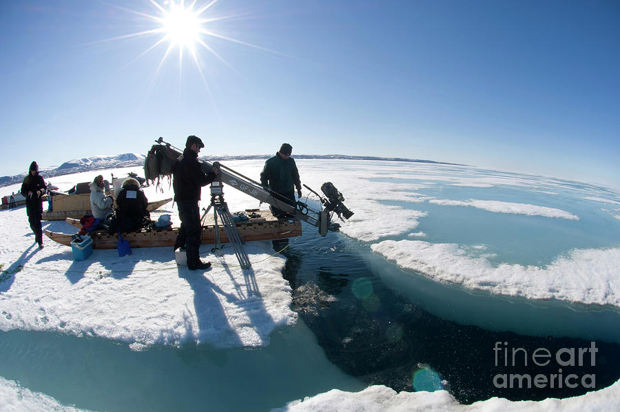 Camera Photograph - Arctic Filming #1 by Louise Murray/science Photo Library