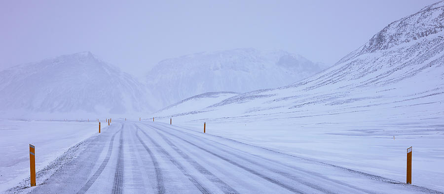 Arctic #1 Photograph by Julien Oncete