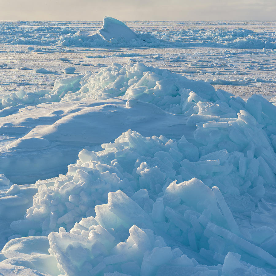 Arctic,avannaata,baffin Bay,cold,danita Photograph by Martin Zwick ...