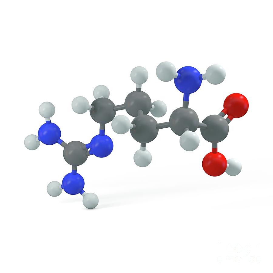 Arginine Molecule Photograph By Adam Brackenbury Science Photo Library