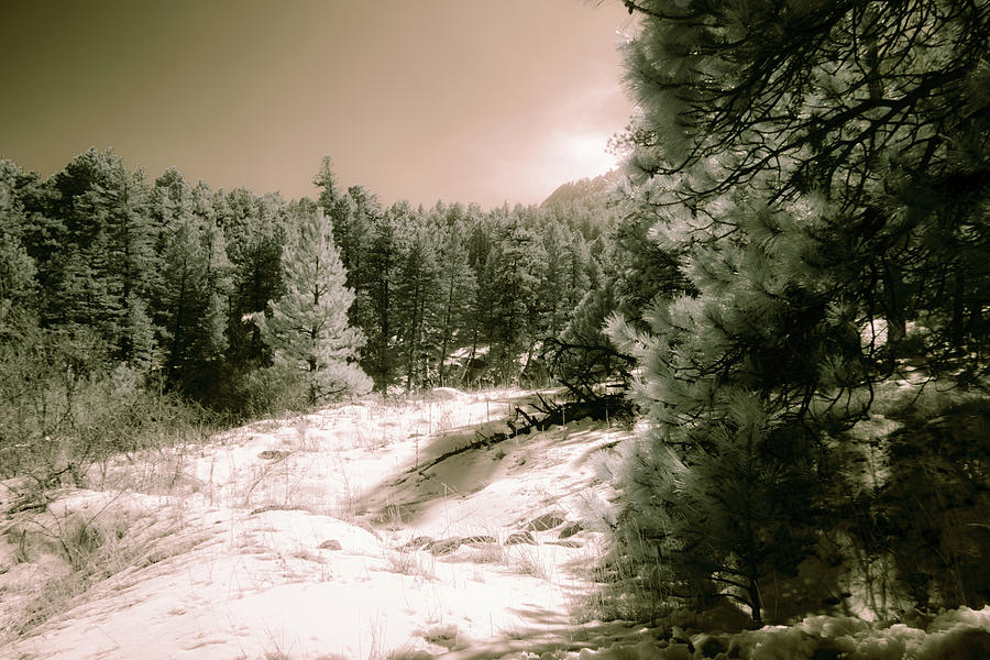 Around the bend by Dan Urban Around the bend by Dan Urban