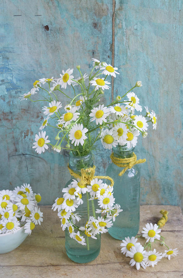 Arrangements And Small Wreath Of Chamomile Flowers #1 Photograph by Martina Schindler