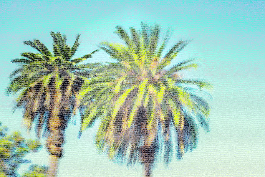 Tree Photograph - Art Deco Palms #1 by Joseph S Giacalone